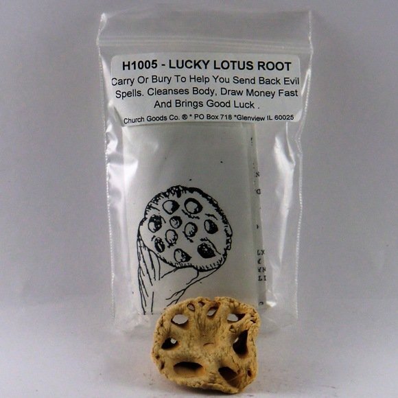 Lucky Lotus Roots
