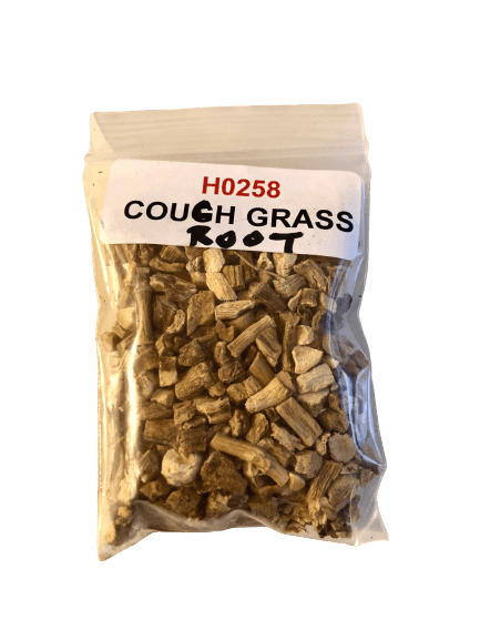 Couch Grass Root