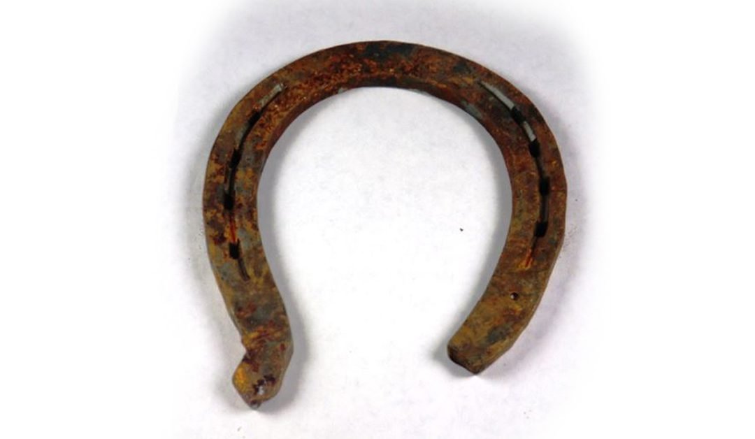 Lucky Horseshoe
