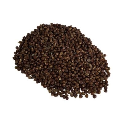 Grains of Paradise