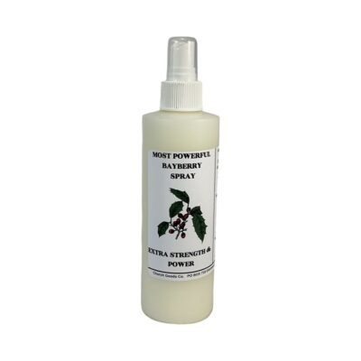Bayberry Spray