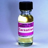 Carnation Pure Essential Oil