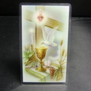 Holy Spirit Blessed Prayer Card