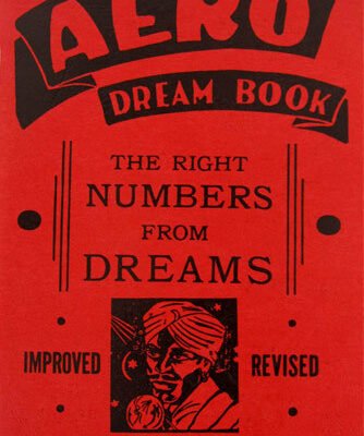 CLEARANCE: The Genuine AERO Dream Book