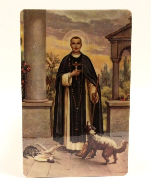 CLEARANCE: St. Martin de Porres Prayer Card