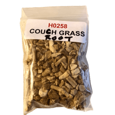 Couch Grass Root