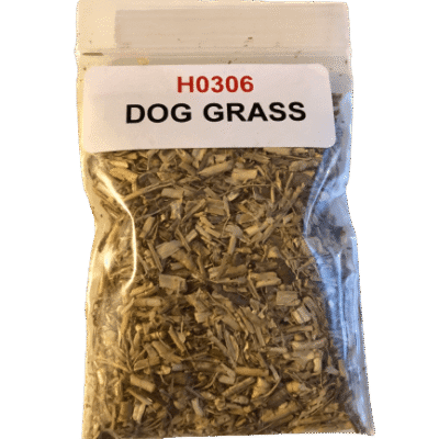 Dog Grass