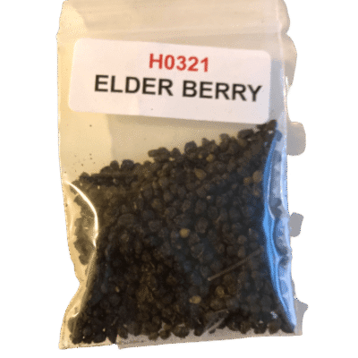 Elderberry