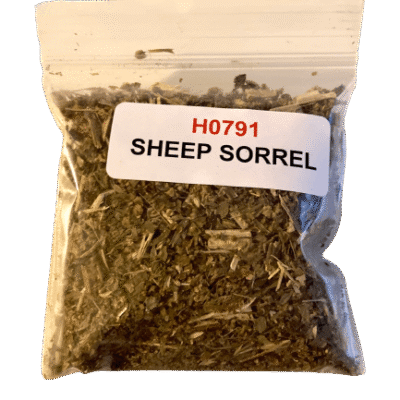 Sheep Sorrel