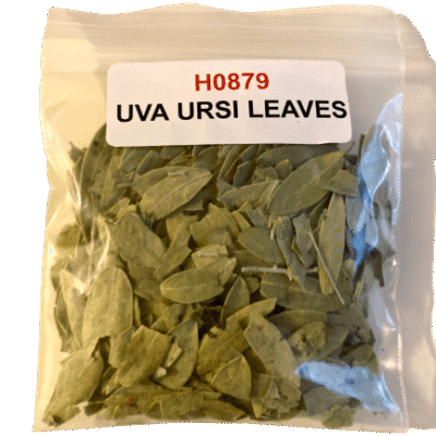 Uva Ursi Leaves