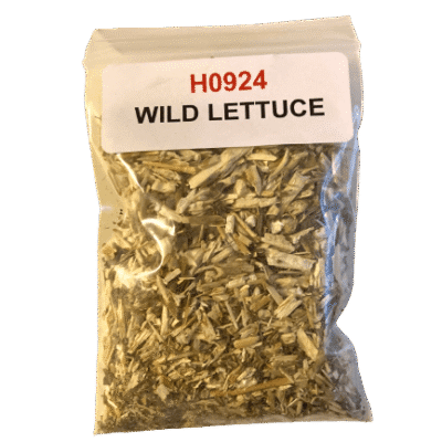 Wild Lettuce