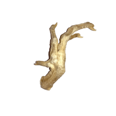 Chicken's Foot