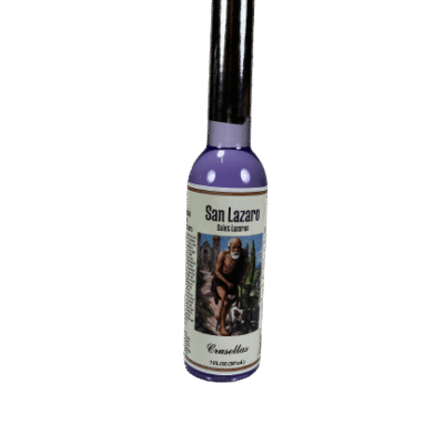 Saint Lazarus Cologne