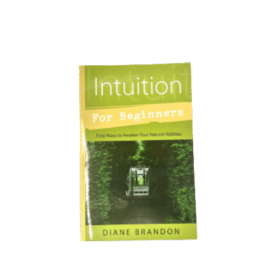 Intuition for Beginners