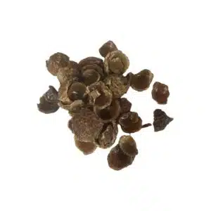 Soap Nuts H0799