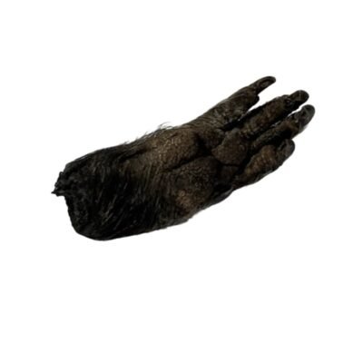 DESTROY EVIL WITH MYSTICAL DRAGON CLAW, STOP FEAR