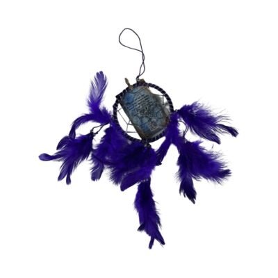 Dream Catcher Small Purple with Feathers